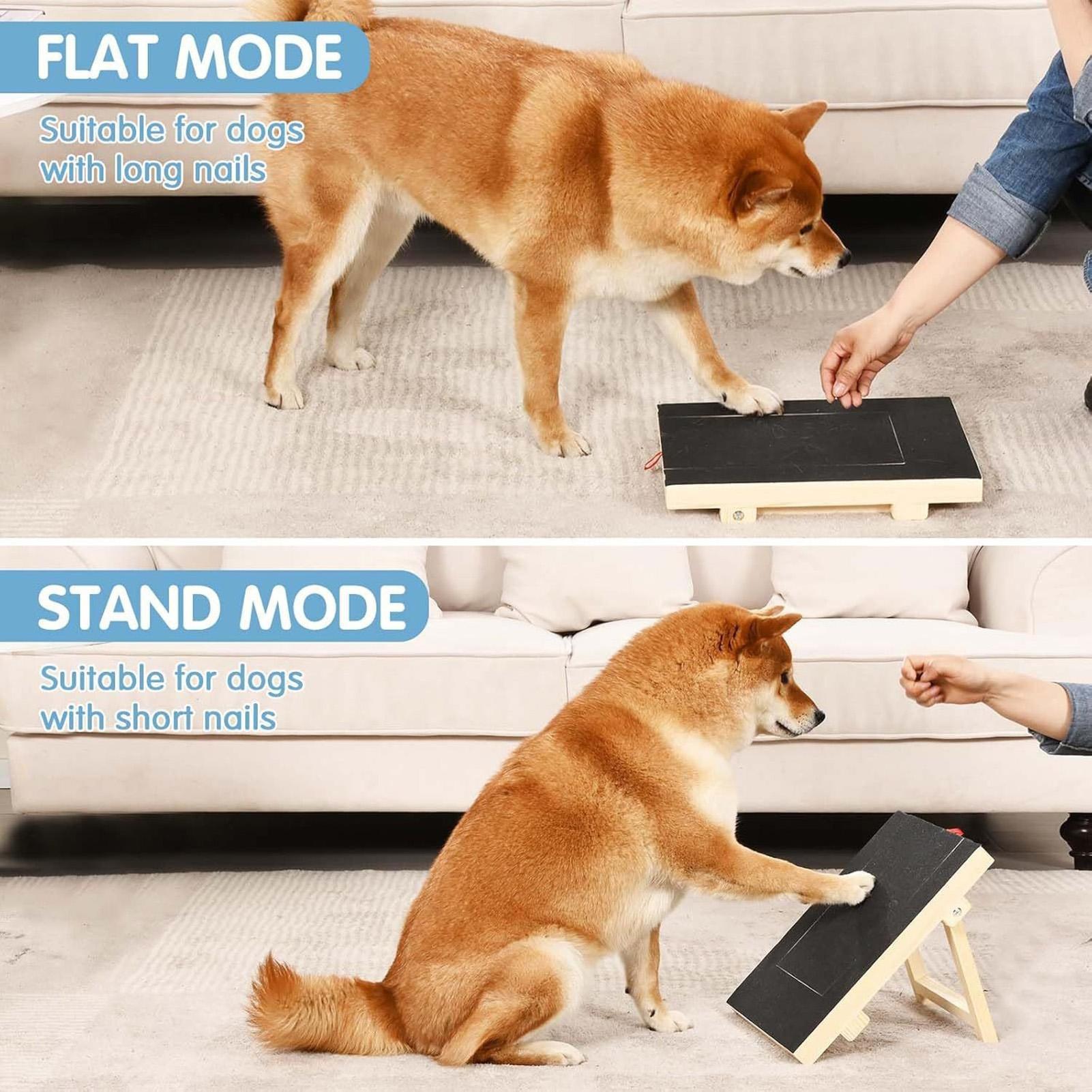 Dog Nail File Board with Pull- - Woodworking Magazine review and price