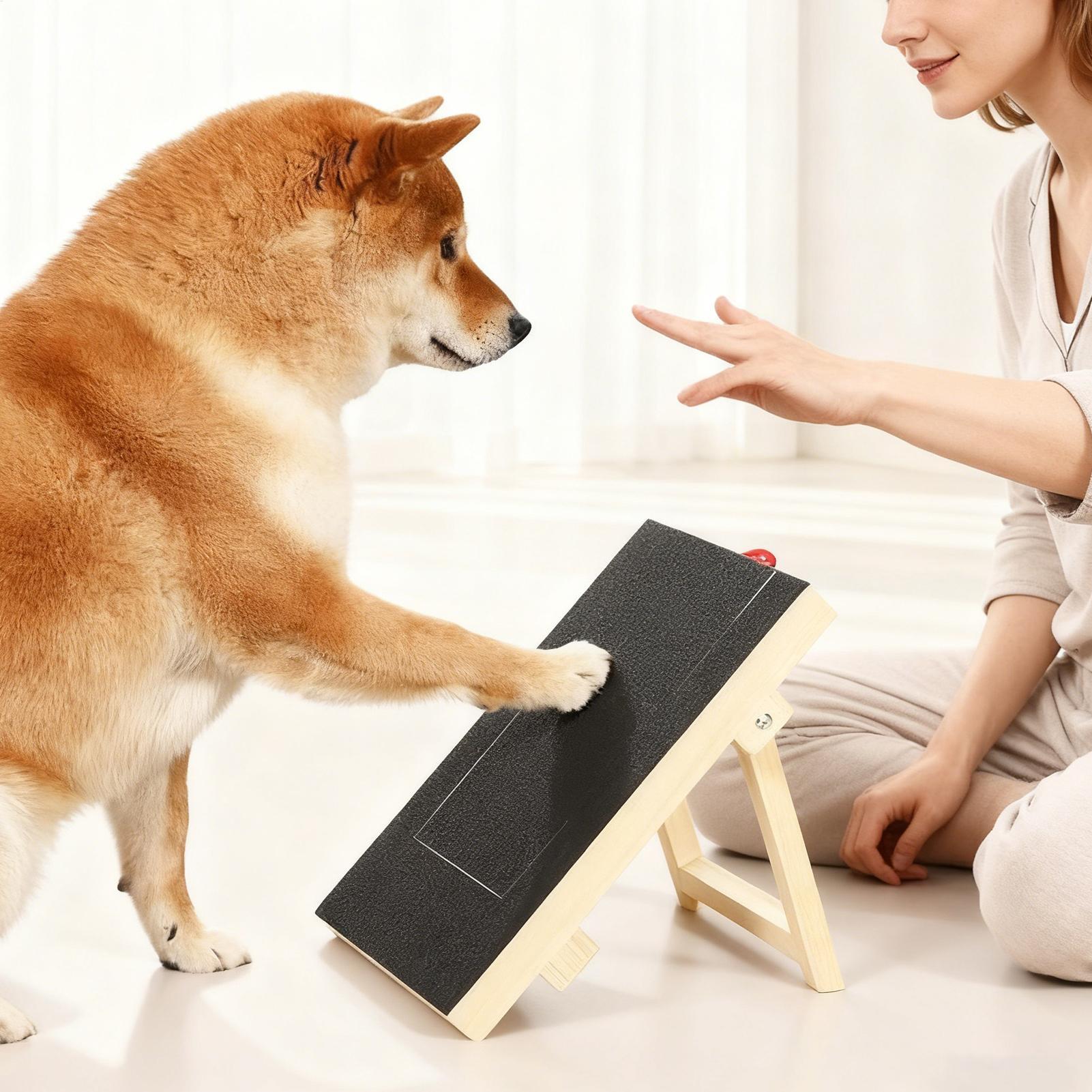 Wooden Pet Scratching Board fo - Woodworking Magazine review and price