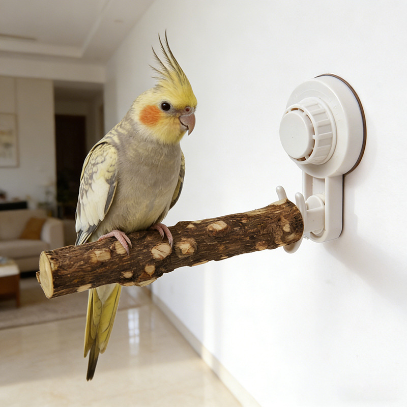 Parrot Stand with Suction Cup  - Woodworking Joints review and price