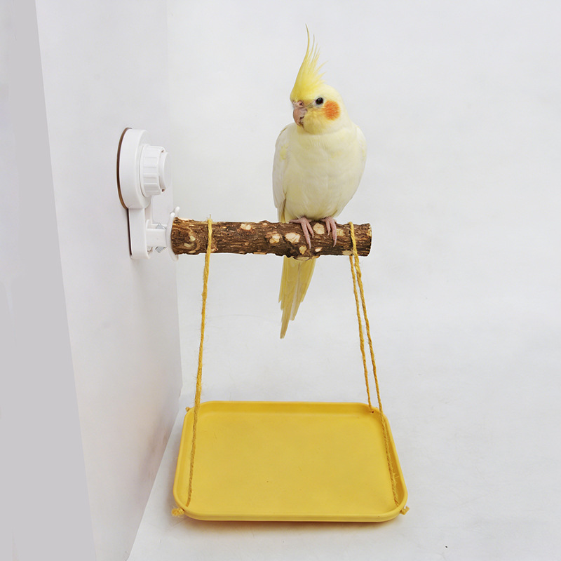 Parrot Stand with Suction Cup  - Woodworking Joints review and price